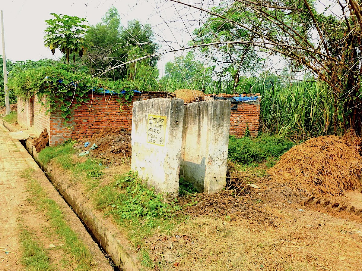 Revisiting open defecation
